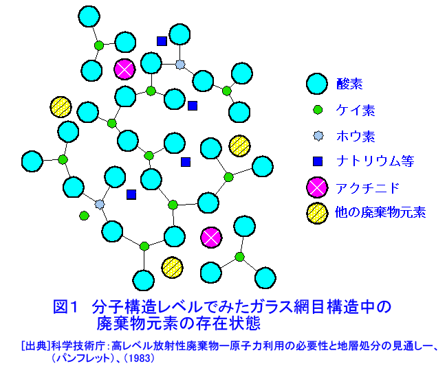 図１  分子構造レベルでみたガラス網目構造中の廃棄物元素の存在状態