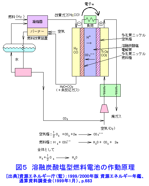 図５  溶融炭酸塩型燃料電池の作動原理
