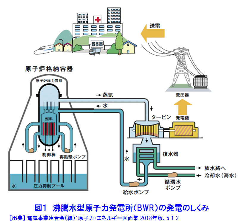 図１  沸騰水型原子力発電所（BWR）の発電のしくみ
