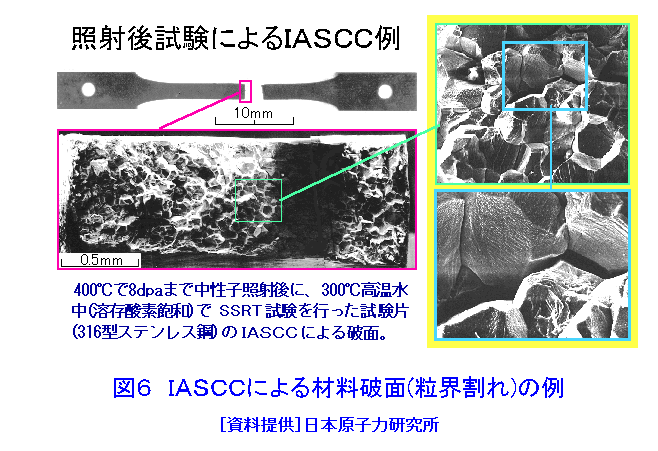 IASCCによる材料破面（粒界割れ）の例