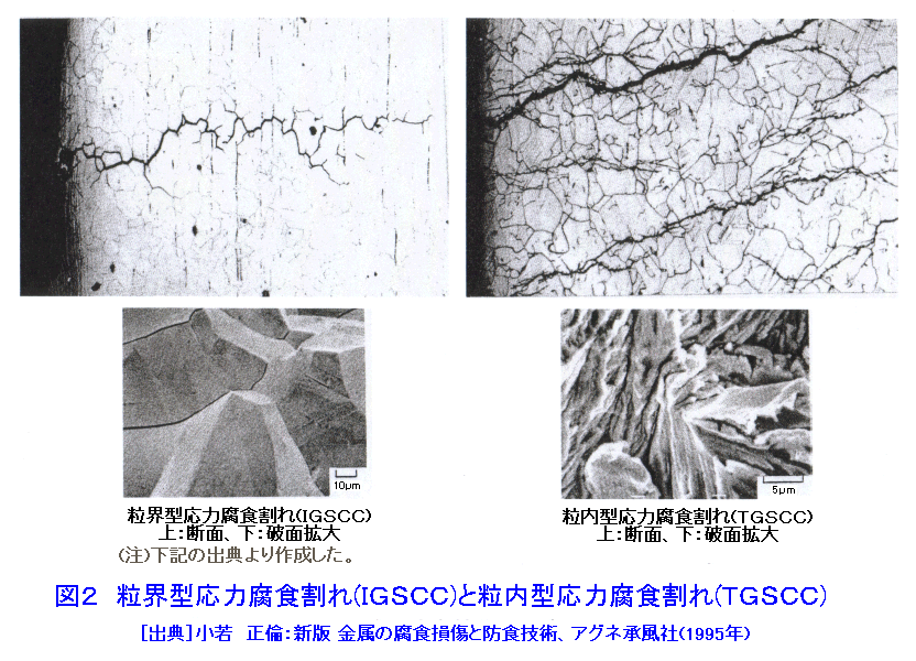 図２  粒界型応力腐食割れ（IGSCC）と粒内型応力腐食割れ（TGSCC）