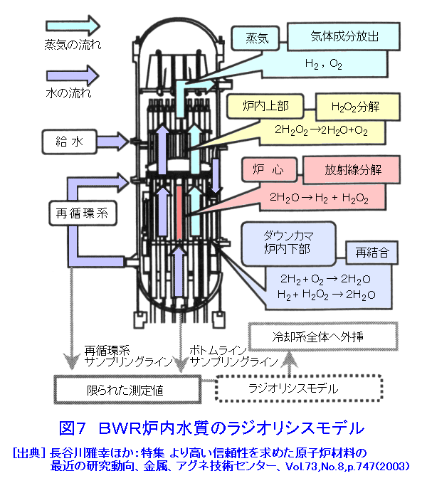 図７  BWR炉内水質のラジオリシスモデル