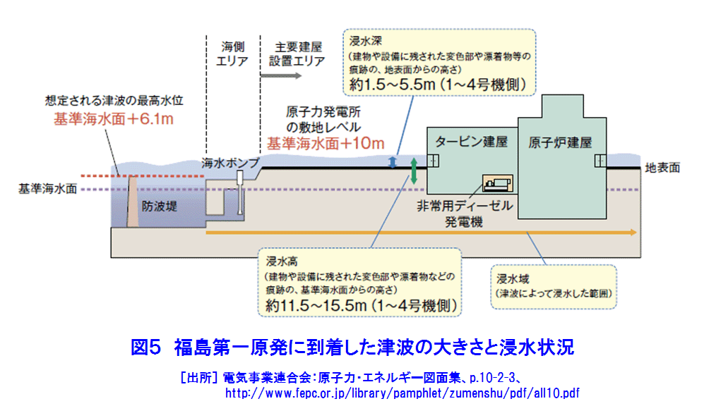 図５  福島第一原発に到達した津波の大きさと浸水状況