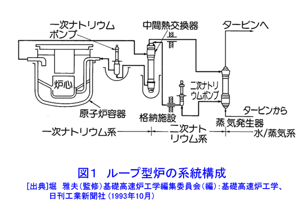 図１  ループ型炉の系統構成