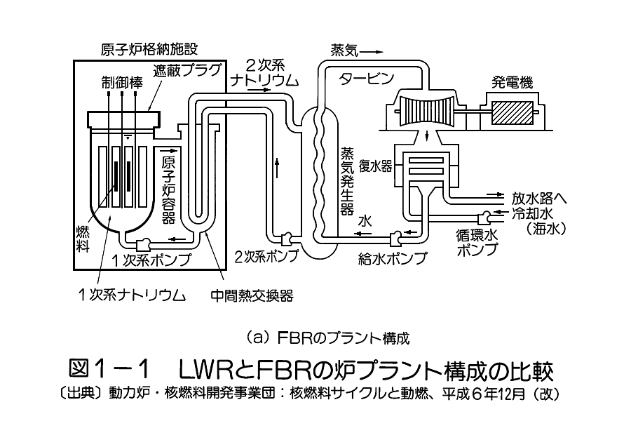 図１−１  LWRとFBRの炉プラント構成の比較