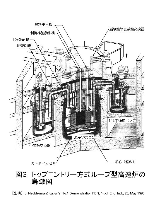 図３  トップエントリー方式ループ型高速炉の鳥瞰図