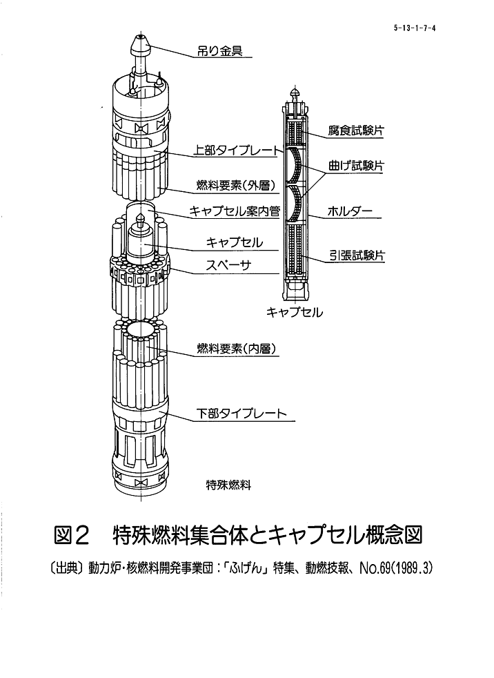 図２  特殊燃料集合体とキャプセル概念図