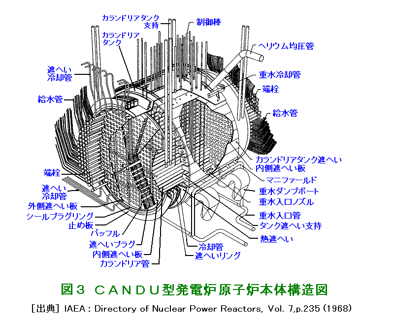 図３  CANDU型発電炉原子炉本体構造図