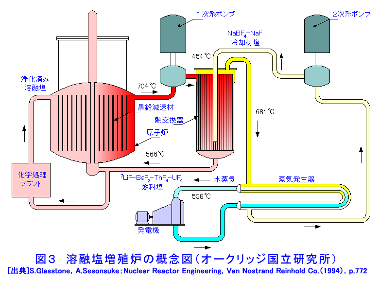 図３  溶融塩増殖炉の概念図（オークリッジ国立研究所）