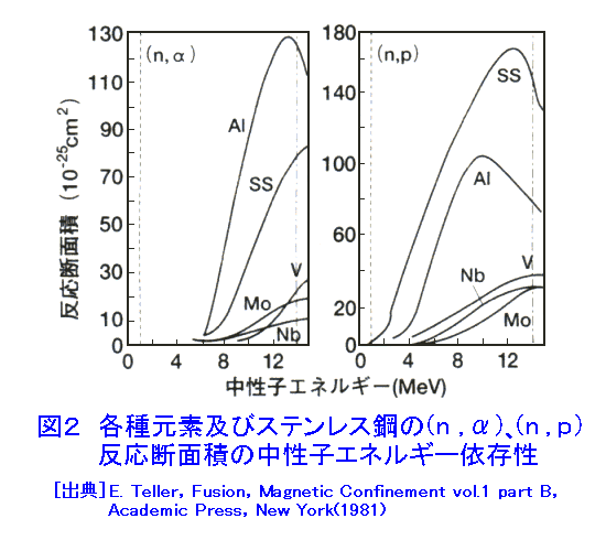 図２  各種元素及びステンレス鋼の（n，α）、（n，p）反応断面積の中性子エネルギー依存性