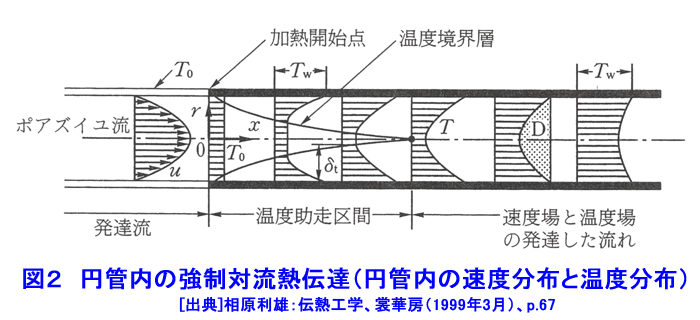 図２  円管内の強制対流熱伝達（円管内の速度分布と温度分布）