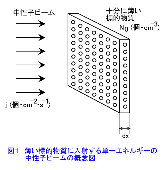 図１  薄い標的物質に入射する単一エネルギーの中性子ビームの概念図