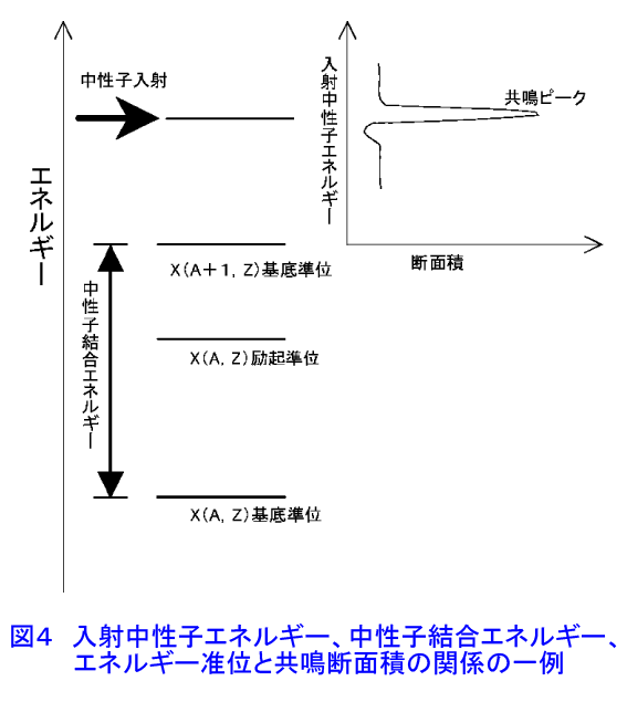 図４  入射中性子エネルギー、中性子結合エネルギー、エネルギー准位と共鳴断面積の関係の一例