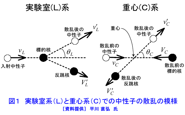 図１  実験室系（Ｌ）と重心系（Ｃ）での中性子の散乱の模様