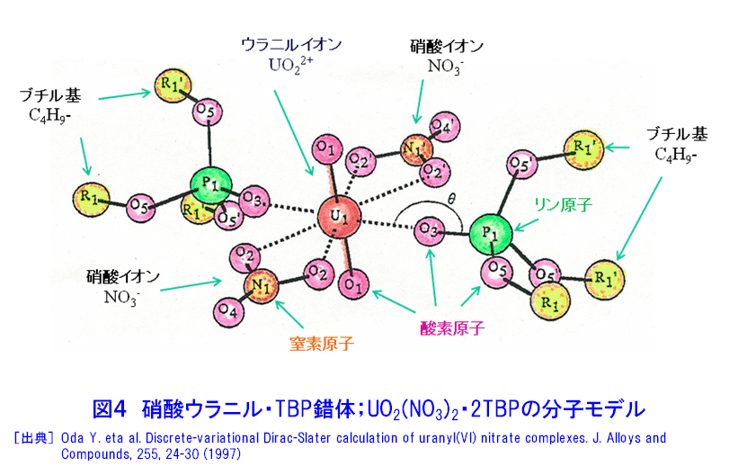 図４  硝酸ウラニル・TBP錯体；UO