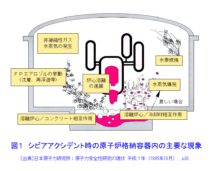 図１  シビアアクシデント時の原子炉格納容器内の主要な現象
