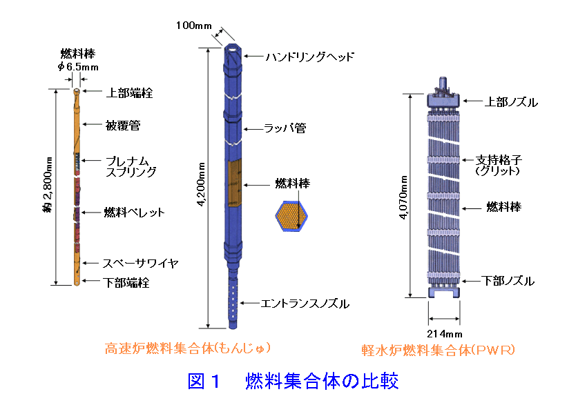 図１  燃料集合体の比較