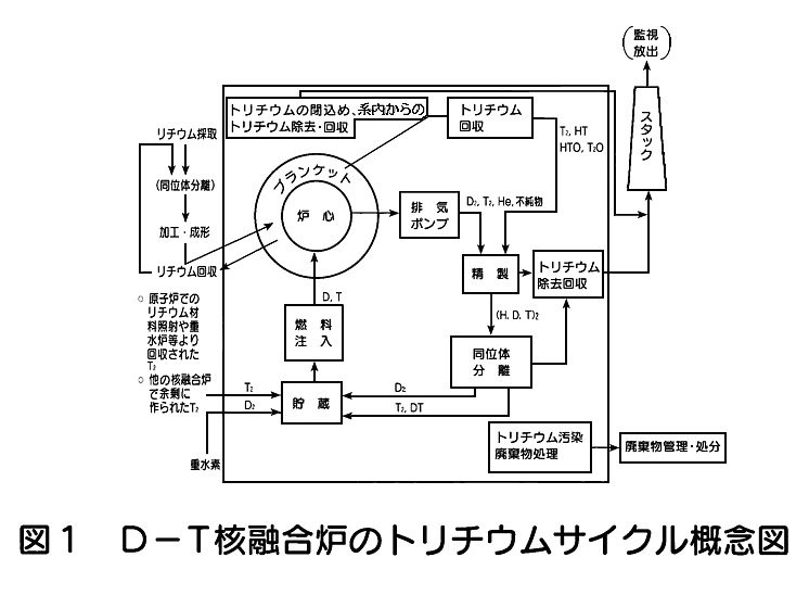 図１  Ｄ−Ｔ核融合炉のトリチウムサイクル概念図