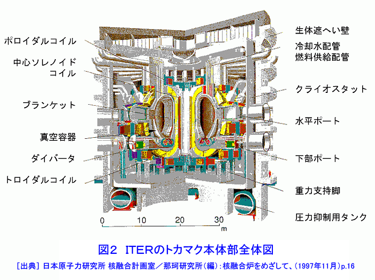図２  ITERのトカマク本体部全体図