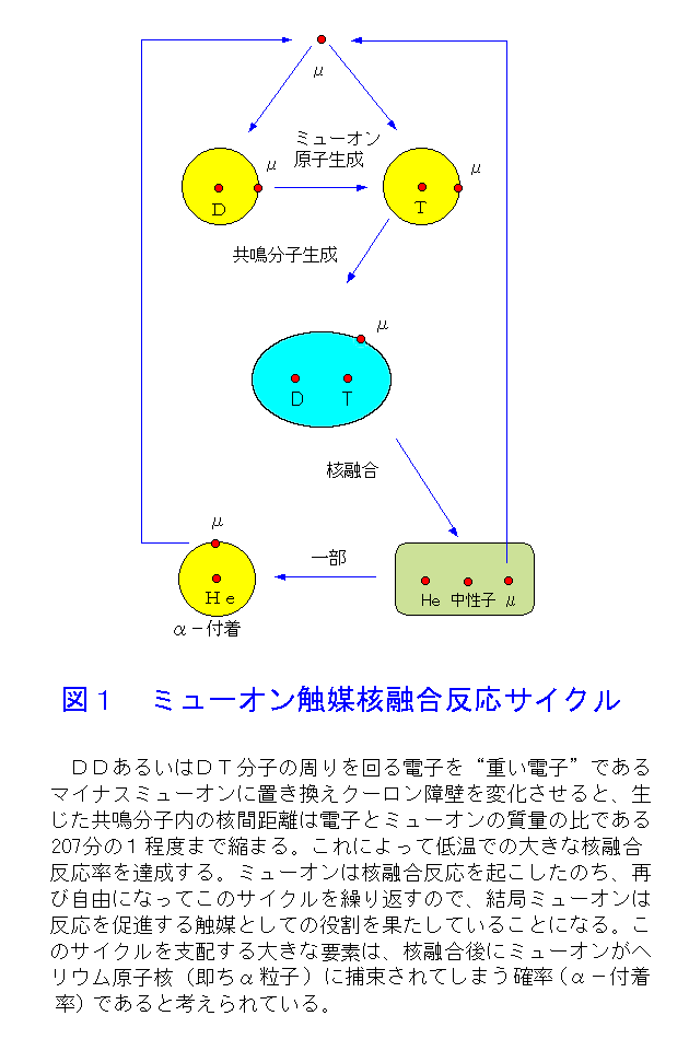 図１  ミューオン触媒核融合反応サイクル