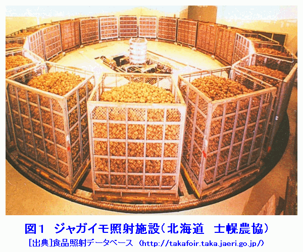 図１  ジャガイモ照射施設（北海道士幌農協）