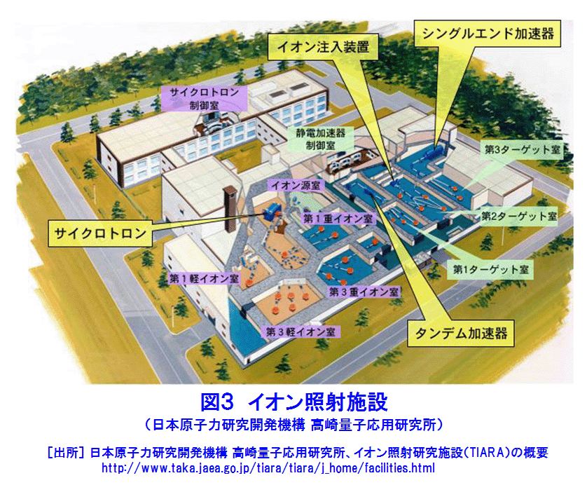 図３  イオン照射施設（日本原子力研究開発機構 高崎量子応用研究所）