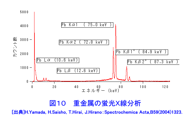 図１０  重金属の蛍光Ｘ線分析