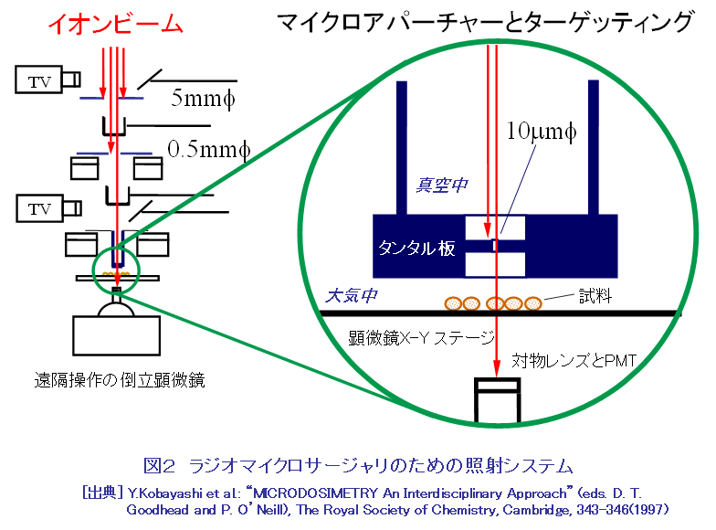 図２  ラジオマイクロサージャリのための照射システム