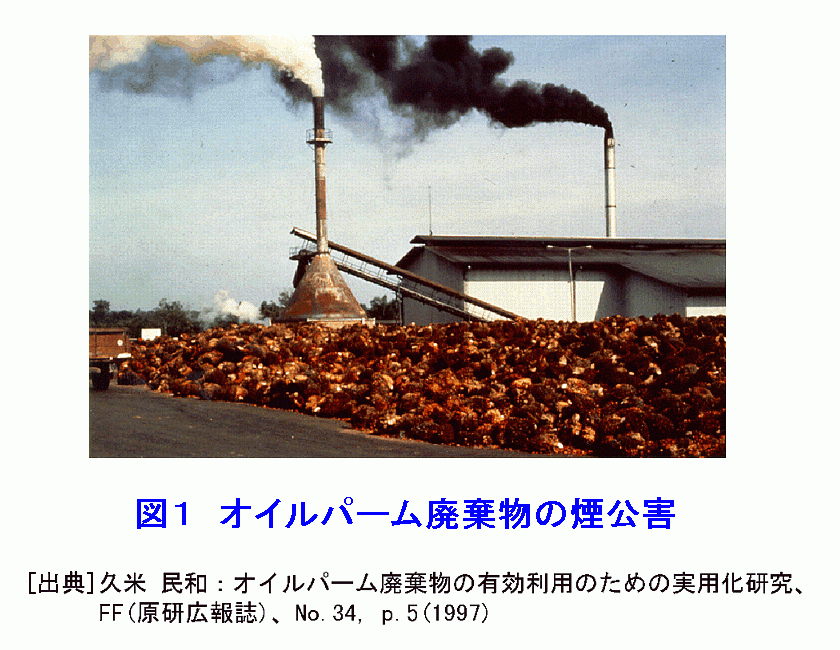 図１  オイルパーム廃棄物の煙公害