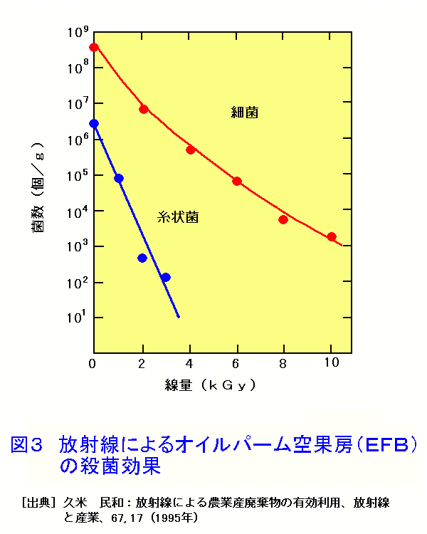 図３  放射線によるオイルパーム空果房（EFB）の殺菌効果