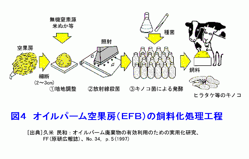 図４  オイルパーム空果房（EFB）の飼料化処理工程