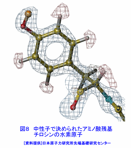 図８  中性子で決められたアミノ酸残基チロシンの水素原子
