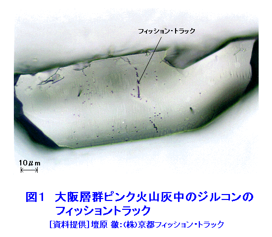 図１  大阪層群ピンク火山灰中のジルコンのフィッショントラック