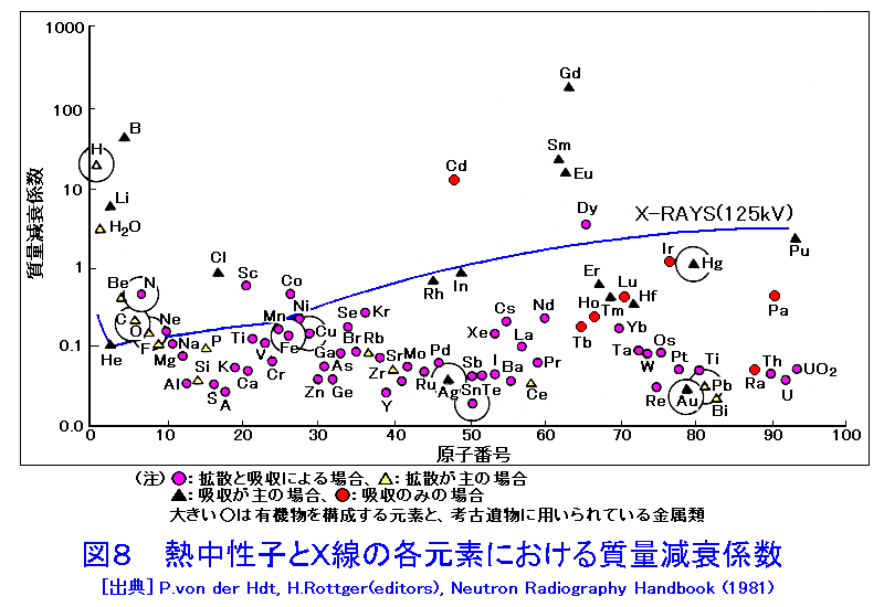 図８  熱中性子とＸ線の各元素における質量減衰係数