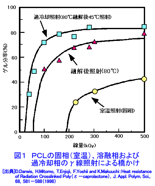 図１  PCLの固相（室温）、溶融相および過冷却相のγ線照射による橋かけ