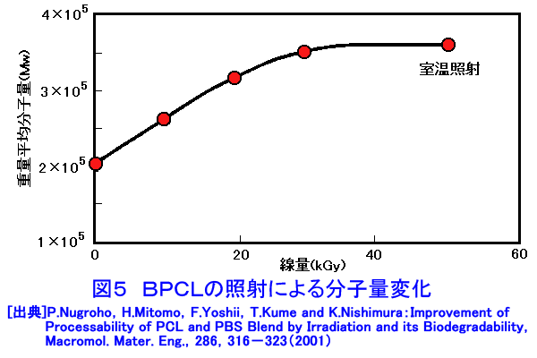 図５  BPCLの照射による分子量変化