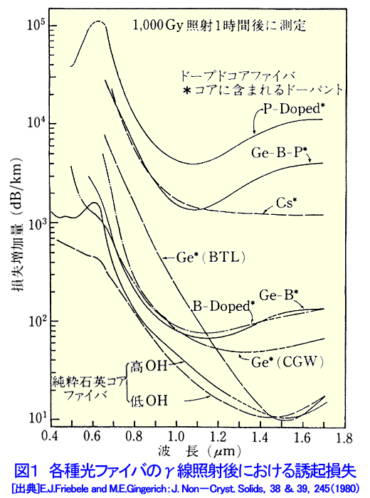 図１  各種光ファイバのγ線照射後における誘起損失