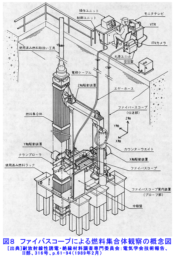 ファイバスコープによる燃料集合体観察の概念図