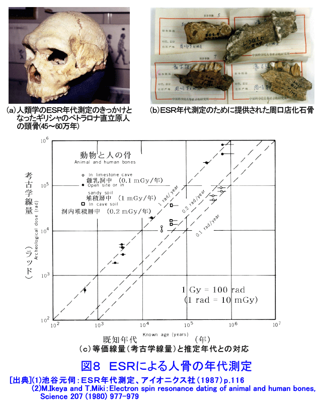 図８  ESRによる人骨の年代測定