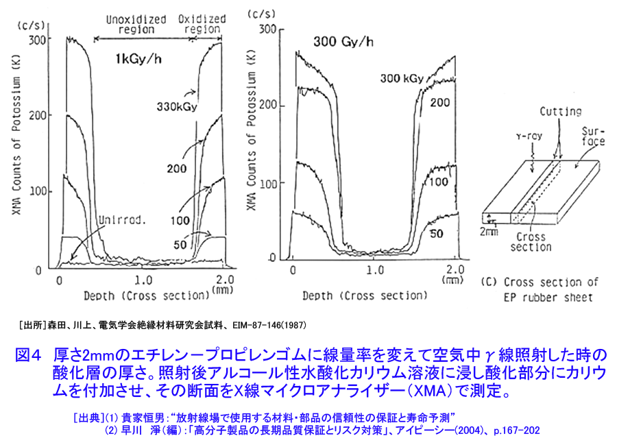 図４  厚さ２mmのエチレン−プロピレンゴムに線量率を変えて空気中γ線照射した時の酸化層の厚さ。照射後アルコール性水酸化カリウム溶液に浸し酸化部分にカリウムを付加させ、その断面をＸ線マイクロアナライザー（XMA）で測定。
