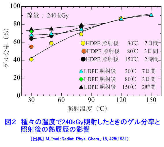 図２  種々の温度で240kGy照射したときのゲル分率と、照射後の熱履歴の影響