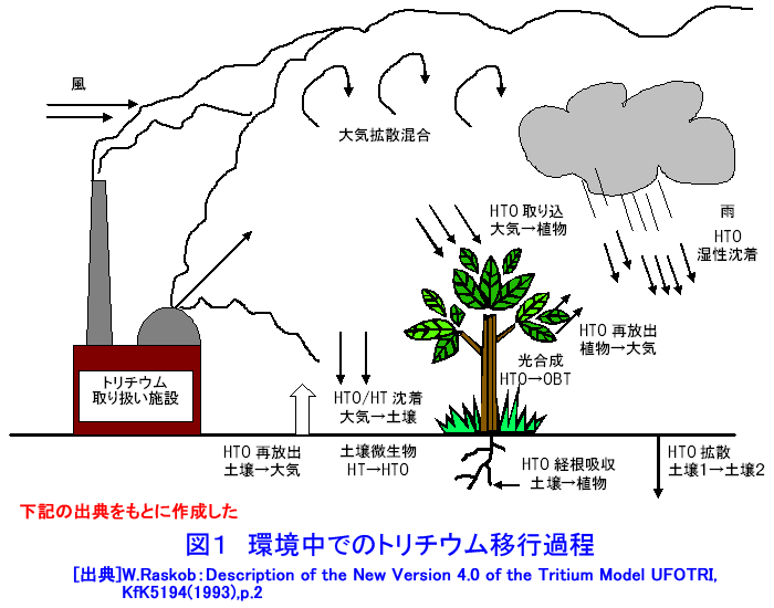 図１  環境中でのトリチウム移行過程
