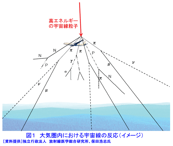 図１  大気圏内における宇宙線の反応（イメージ）