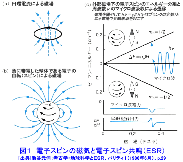 図１  電子スピンの磁気と電子スピン共鳴（ＥＳＲ）