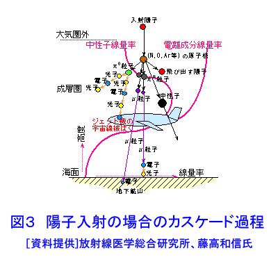 図３  陽子入射の場合のカスケード過程