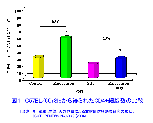 図１  C57BL/6CrSlcから得られたCD4＋細胞数の比較