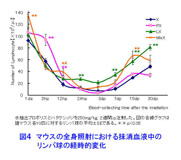 図４  マウスの全身照射における末梢血液中のリンパ球の経時的変化