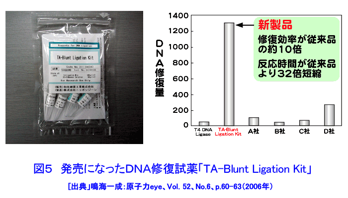 図５  発売になったＤＮＡ修復試薬「TA-Blunt Ligation Kit」