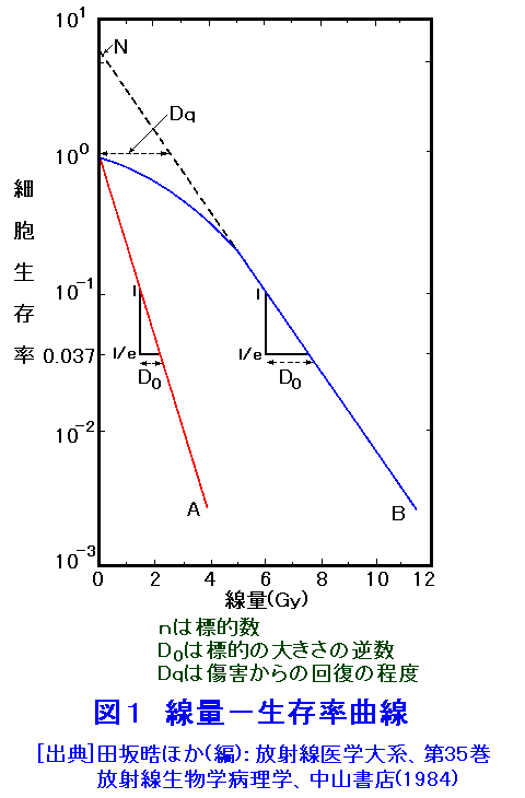 図１  線量−生存率曲線
