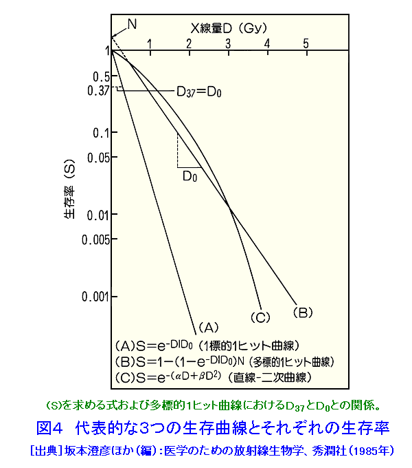 図４  代表的な３つの生存曲線とそれぞれの生存率